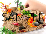 Dinosaur Sensory Bin (PLR Limited - 20 Sets)