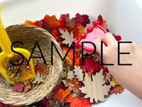 Fall Leaf Raking and Shoveling Sensory Bin (PLR Limited)