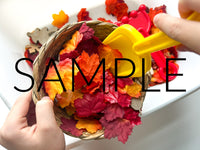 Fall Leaf Raking and Shoveling Sensory Bin (PLR Limited)