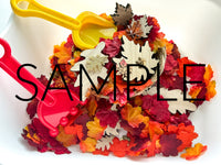 Fall Leaf Raking and Shoveling Sensory Bin (PLR Limited)