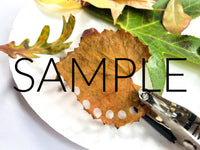 Fall Leaf Confetti (PLR Limited)