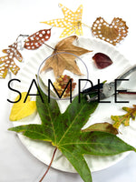 Fall Leaf Confetti (PLR Limited)