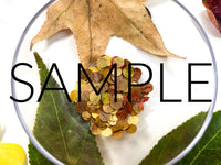 Fall Leaf Confetti (PLR Limited)