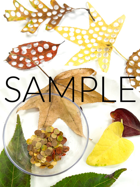 Fall Leaf Confetti (PLR Limited - 20 Sets)