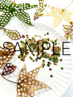 Fall Leaf Confetti (PLR Limited)