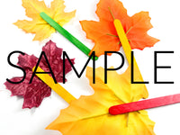 Fall Leaf Popsicle Stick Puppets (PLR Limited)