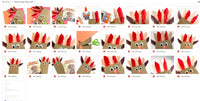 Turkey Paper Bag Craft (PLR Limited)